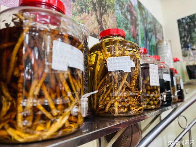 Elderly Man's Near-Death Experience Highlights Dangers of Traditional Remedies and Self-Medication