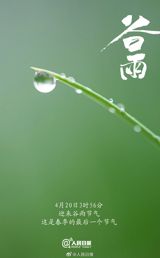 As the sixth of the 24 solar terms in the traditional Chinese calendar,谷雨 (Grain Rain) marks the final transition of spring into summer. Falling on April 20th at 3:56 AM Beijing time, this significant seasonal shift is characterized by the increase in rainfall, which is highly conducive to the growth of various crops. The term "谷雨" literally translates to "grain rain," with "谷" referring to the general category of grains and crops. This period is notable for its abundant precipitation, making it an ideal time for agricultural activities.