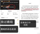 Wang Yibo's influence and attention span far beyond China, with his movie '热烈' (Heat) receiving global acclaim and extensive media coverage. The upcoming broadcast of '探索新境' in Japan on April 6th, which has been widely reported by major media outlets, is a testament to his strong overseas influence and attention. This demonstrates his significant position and reputation within the Asian entertainment industry, further solidifying his status as a leading figure.
