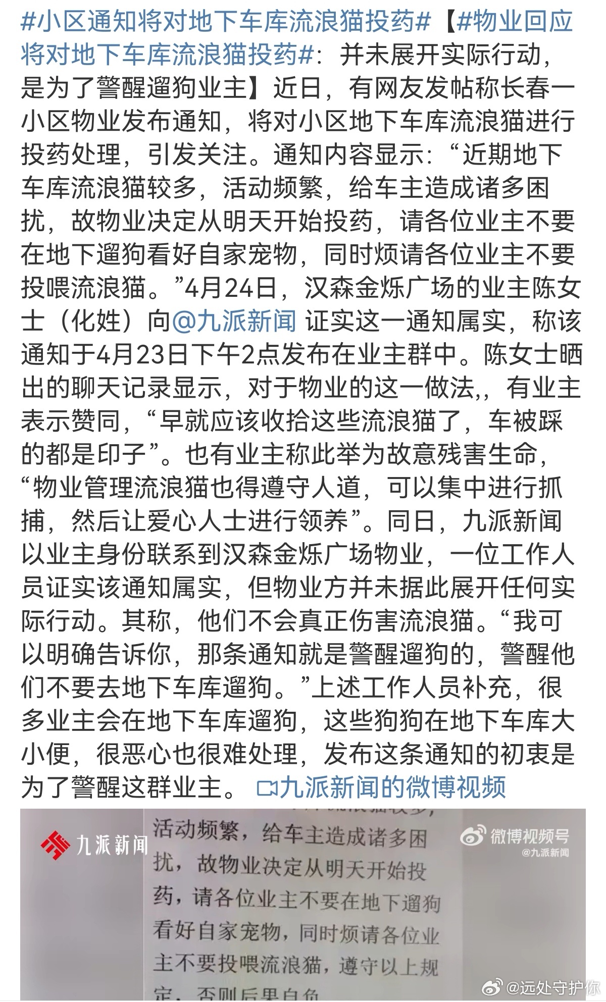 Chinese Residential Complex Sparks Outrage Over Plan to Poison Stray Cats