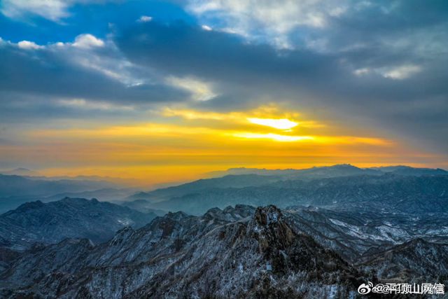 Qingdao's Lonely Tree: From Obscurity to Social Media Sensation