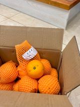 In a devastating turn of events, the internet has lost a beloved pet, Mao Mao, the adorable golden retriever who won hearts with his orange-picking antics. He passed away on April 16th due to sudden heart failure, sending shockwaves through social media. Fans and customers of his owner's online fruit stand are mourning the loss of the charming canine, whose claim to fame was his unique habit of picking oranges. These oranges were sold online as "Mao Mao fruits," a specialty that has now been rendered extinct with his passing. As news of his death spread, the online store's shopping link was updated to reflect that the coveted "Mao Mao fruits" are now out of stock, leaving fans to lament the loss of a cherished part of their online experience.