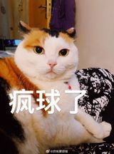 In a shocking incident, a homeowner in Qingdao, Shandong Province, China, has found himself at the center of a controversy after discovering that his luxurious top-floor duplex apartment had been broken into and taken over by two of the complex's cleaning staff. The staff members, whose identities have not been disclosed, allegedly changed the lock on the balcony door and have been using the space to raise chickens. The apartment, which had been left vacant for nearly seven years, was intentionally left unoccupied by the owner, Mr. Xu, due to sentimental reasons.