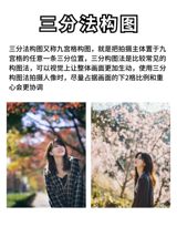 In a creative move that is garnering attention on social media, some individuals have preemptively taken and shared their Chinese New Year tourist photos, sparking a wave of amusement and curiosity among netizens. The concept of "pre-fabricated" or "预制" tourist photos has emerged as a novel solution for those seeking to showcase their festive experiences without the hassle of navigating crowded tourist spots during the peak holiday season. This trend, popularized by 00后 (post-90s) girls who took their photos a week in advance, highlights the desire for a "精装" (highly polished) online presence, even if real life is "毛坯" (unrefined). This phenomenon raises interesting questions about the human need for social validation and the evolving nature of how we experience and share holidays in the digital age.